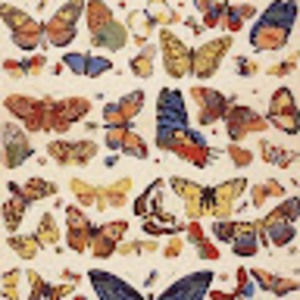 Meet your Posher, Serena curry